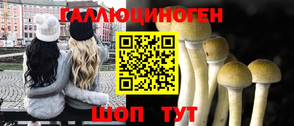 купить наркоту  Галлюциногенные грибы GOLDEN TEACHER  Вход с VPN  Юрга 